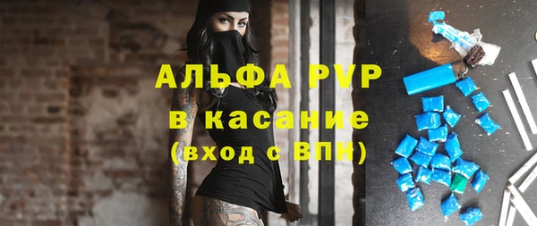 индика Дмитриев