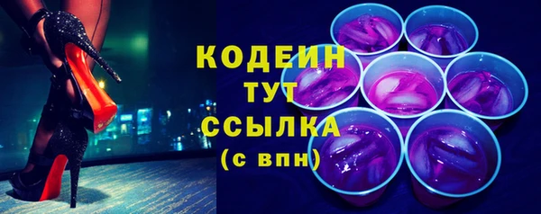 тгк Дмитров