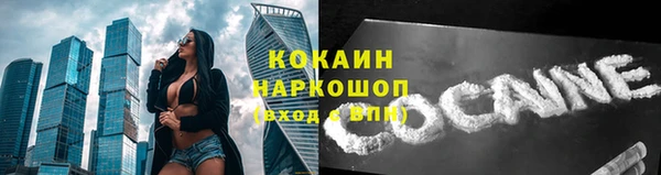 тгк Дмитров