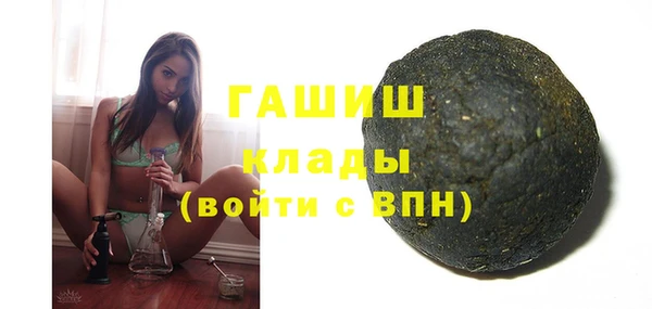 индика Дмитриев