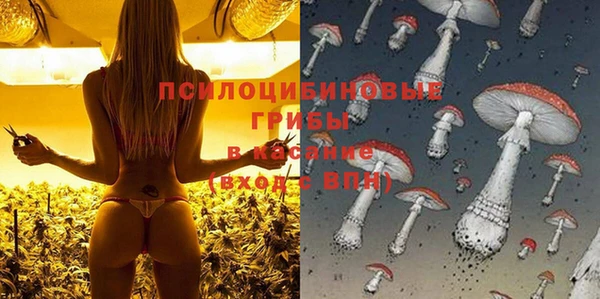 альфа пвп Дмитровск