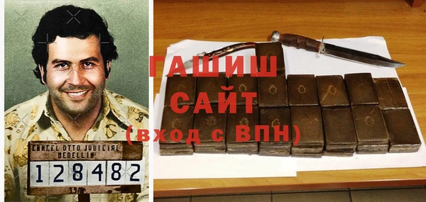 индика Дмитриев