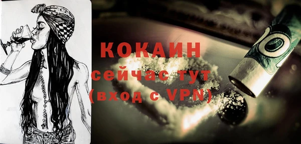 кокс Гусев