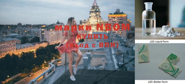 индика Дмитриев