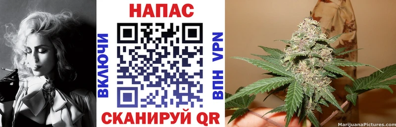 наркота  Духовщина  Каннабис тримм 